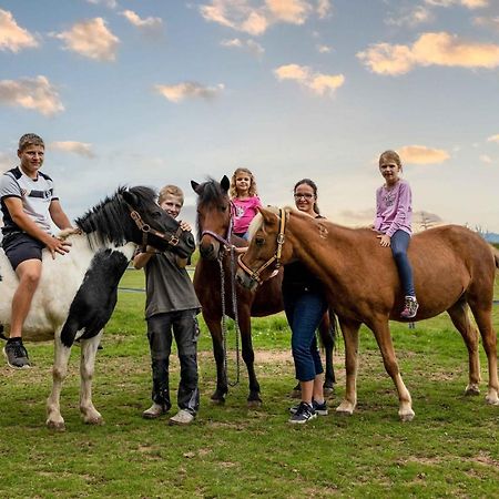 Aignerhof Daire Kirchberg  Dış mekan fotoğraf